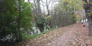 Le chemin des Boeufs