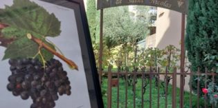 Le Ciréné de Romans