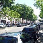 Le cours Pierre Didier